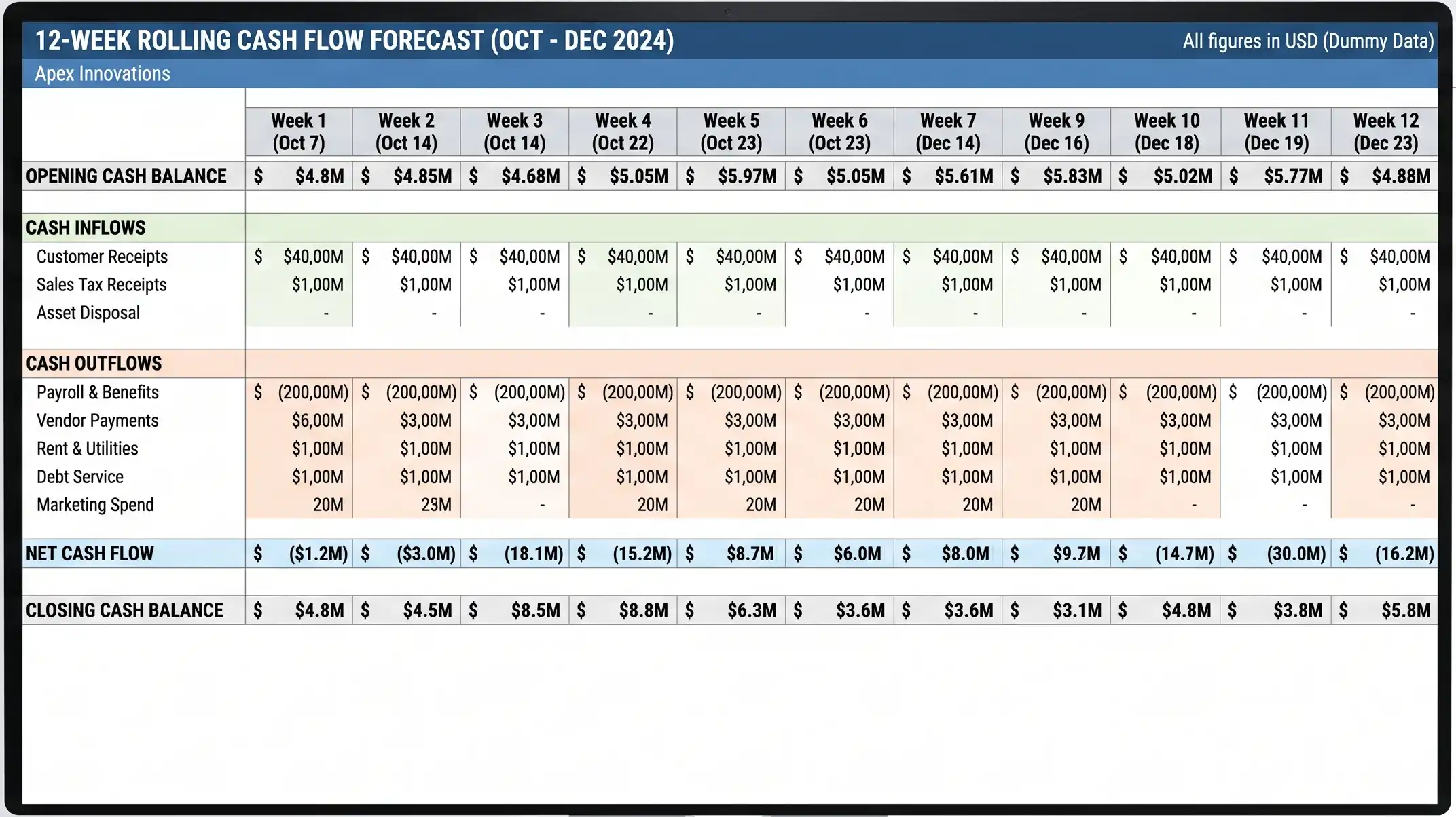 Example 12-week rolling cash flow forecast for Virtual CFO service